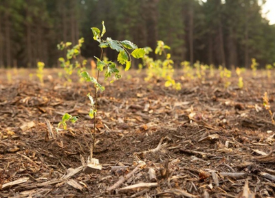 eea466b7371b6b45fc51d0d380a0a992 (1).jpg